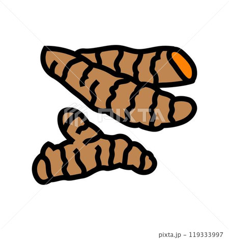 turmeric root ayurvedic herb color icon vector illustration 119333997