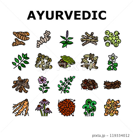 ayurvedic herbs medicine health icons set vector 119334012