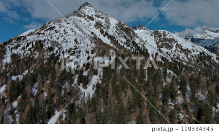 Snow Alp forest mountain range landscape 119334345