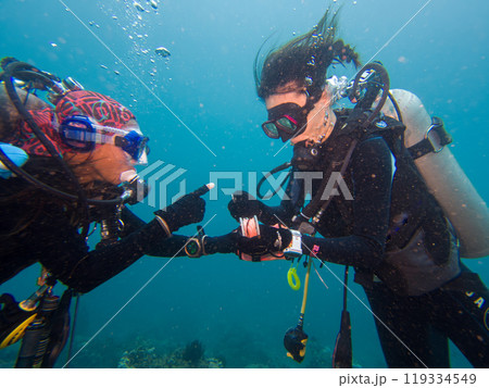 A scuba diver practice deploying the SMB, or surface marker buoy at the safety stop A scuba diver practice deploying the SMB, or surface marker buoy at the safety stop 119334549