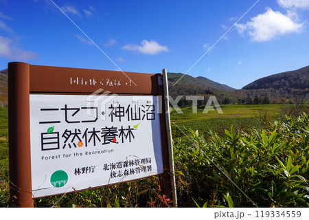 大谷地（ニセコ・神仙沼自然休養林） 119334559