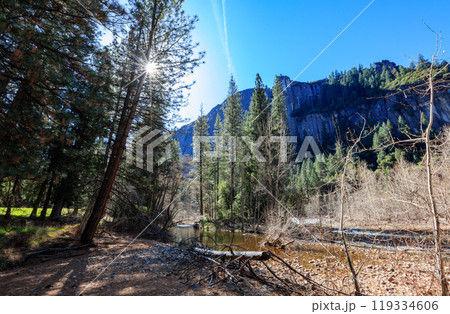 Sunny view of the river landscape in Yosemite National Park Sunny view of the river landscape in Yosemite National Park 119334606