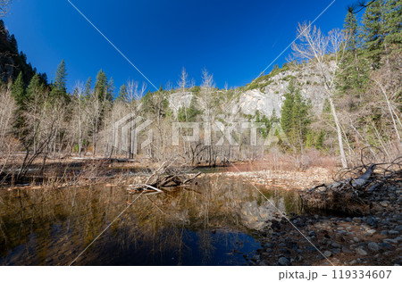 Sunny view of the river landscape in Yosemite National Park Sunny view of the river landscape in Yosemite National Park 119334607