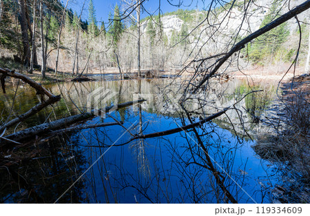 Sunny view of the river landscape in Yosemite National Park 119334609