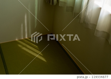 畳に当たる日差し 119334877