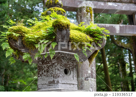 日光東照宮 灯籠 日光東照宮 灯籠 119336517