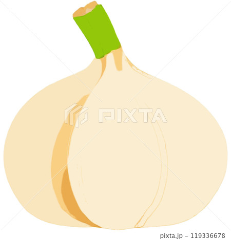 Food Root Spice Condiment Cooking 119336678