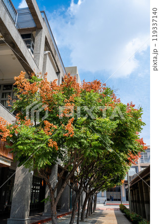 秋 あき 秋の 119337140