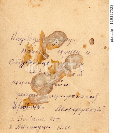 The inscription on the reverse side of the photo from the time of World War II. In Russian: For a long, good memory of a friend and life companion Dusya from her husband. 08.08.1944. Lenfront. The inscription on the reverse side of the photo from the time of World War II. In Russian: For a long, good memory of a friend and life companion Dusya from her husband. 08.08.1944. Lenfront. 119337522