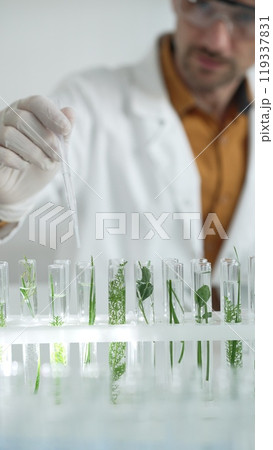 Man scientist wearing a lab coat, white gloves and protective glasses, is dripping liquid from a pipette into a test tube with a green plant inside, vertical close up view. Science and medicine Man scientist wearing a lab coat, white gloves and protective glasses, is dripping liquid from a pipette into a test tube with a green plant inside, vertical close up view. Science and medicine 119337831