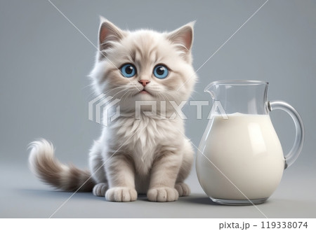 cute Ragdoll kitten and jug of milk isolated on white background 119338074