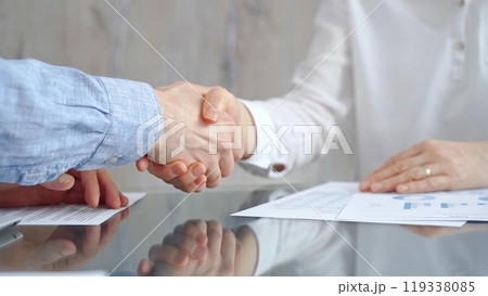 Business people shaking hands over contract agreement and financ 119338085
