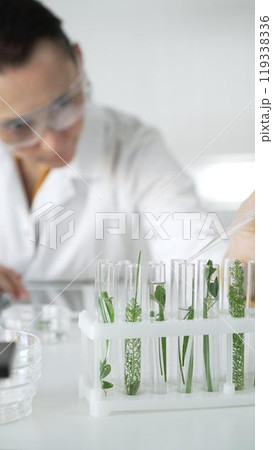 Woman scientist wearing a lab coat, is dripping liquid from a pipette into a test tube with a green plant inside, vertical close up view. Science and medicine concepts Woman scientist wearing a lab coat, is dripping liquid from a pipette into a test tube with a green plant inside, vertical close up view. Science and medicine concepts 119338336