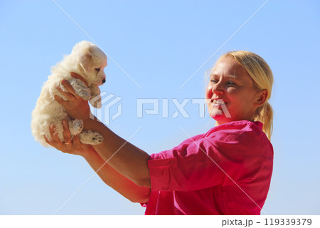 girl holds cute Maltipoo dog in arms close-up. small Maltese dog in female arms 119339379