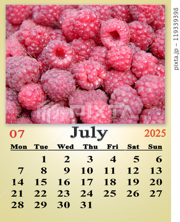 calendar for May 2025 with photo of spring landscape of nature.Business calendar 119339398