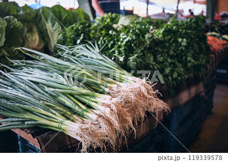 Seasonal garden greenery 119339578