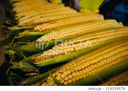 Corn on the cob 119339579