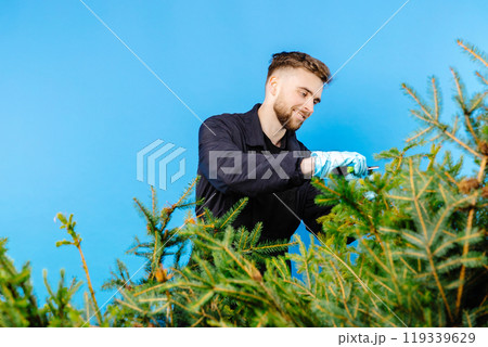 Man is carrying a cart with a pine tree on a blue background 119339629