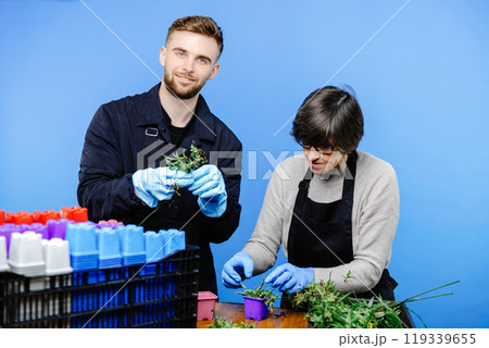 Working couple in a family business of florist store, they plants the flowers on the pot together and enjoy the process Working couple in a family business of florist store, they plants the flowers on the pot together and enjoy the process 119339655