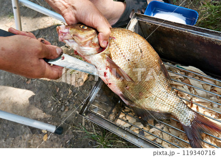 Preparing bream fish for hot food smoked 119340716