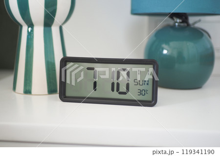 A Vibrant Decorative Arrangement Featuring a Modern Clock Surrounded by Lush Plants A Vibrant Decorative Arrangement Featuring a Modern Clock Surrounded by Lush Plants 119341190