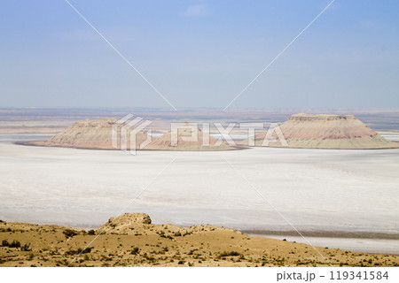 Karyn Zharyk depression view, Mangystau region, Kazakhstan 119341584