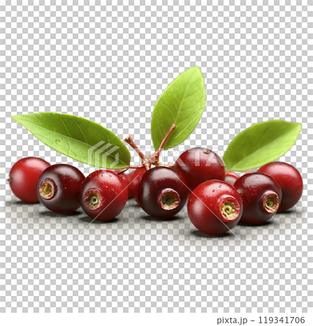 Juicy red huckleberries tumbling glossy leaves spinning juice splattering Vaccinium parvifolium Food and Culinary concept Juicy red huckleberries tumbling glossy leaves spinning juice splattering Vaccinium parvifolium Food and Culinary concept 119341706