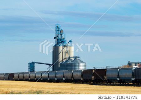 Rural scene in prairies - grain elevator and new train cars on the railway tracks in the autumn field under the blue sky. 119341778