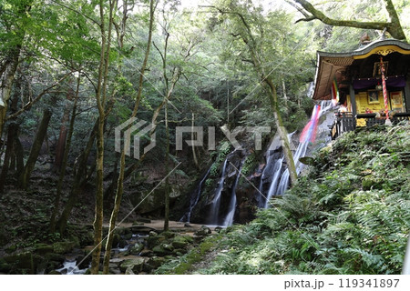 金引の滝（最終滝の「男滝と女滝」）／ 京都府宮津市　 119341897