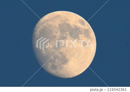 月(月齢12.3) 月(月齢12.3) 119342361