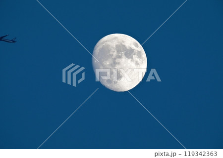 月(月齢12.3) 月(月齢12.3) 119342363