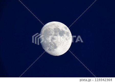 月（月齢12.3） 119342364