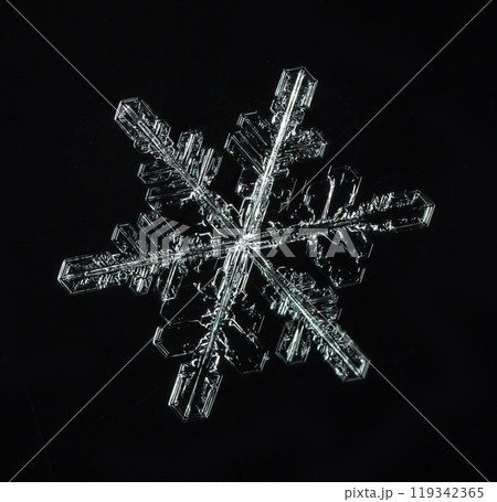 snowflakes, winter card, crystals of snow snowflakes, winter card, crystals of snow 119342365