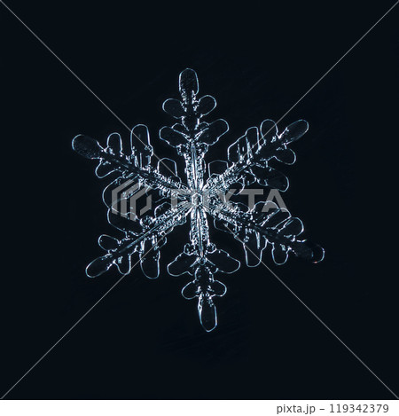 snowflakes, winter card, crystals of snow snowflakes, winter card, crystals of snow 119342379