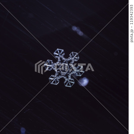 snowflakes, winter card, crystals of snow snowflakes, winter card, crystals of snow 119342393