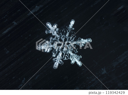 snowflakes, winter card, crystals of snow snowflakes, winter card, crystals of snow 119342429