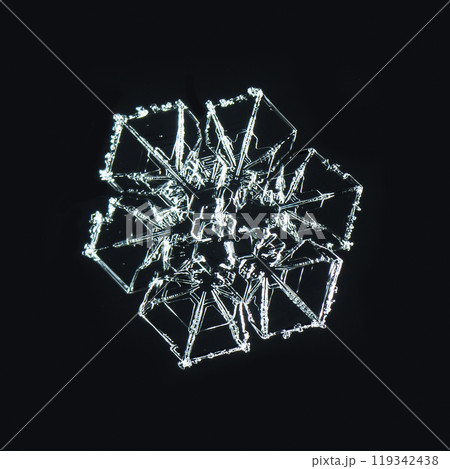 snowflakes, winter card, crystals of snow 119342438
