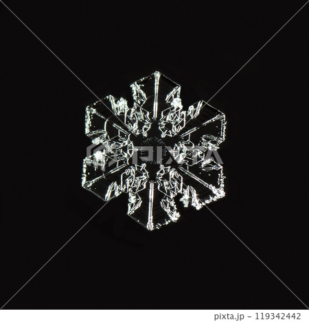 snowflakes, winter card, crystals of snow snowflakes, winter card, crystals of snow 119342442