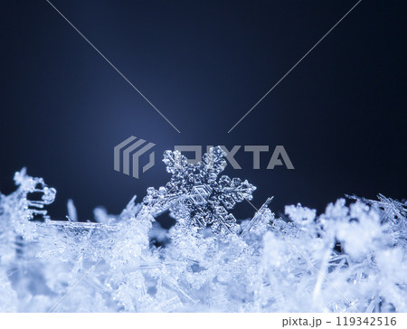 photo real snowflakes during a snowfall, under natural conditions at low temperature photo real snowflakes during a snowfall, under natural conditions at low temperature 119342516