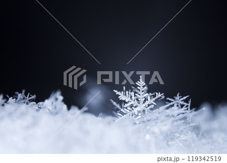 photo real snowflakes during a snowfall, under natural conditions at low temperature 119342519