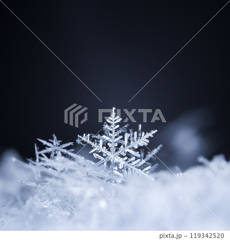 photo real snowflakes during a snowfall, under natural conditions at low temperature 119342520