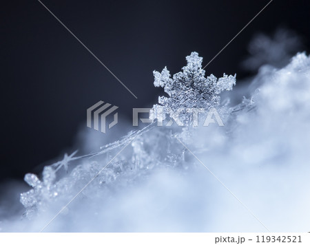 photo real snowflakes during a snowfall, under natural conditions at low temperature photo real snowflakes during a snowfall, under natural conditions at low temperature 119342521