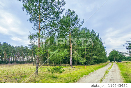A dirt road in the countryside, near a forest in central Europe 119343422
