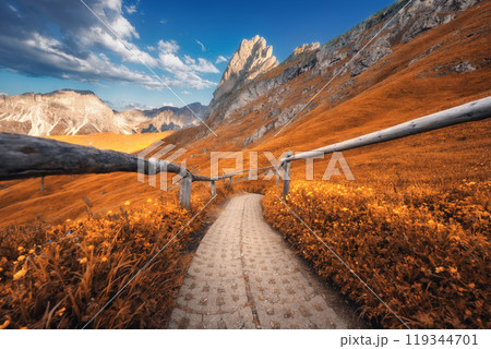 Path in Seceda mountain on beautiful autumn sunny day 119344701