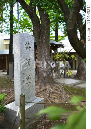 日本の東京、渋谷にある鳩森八幡神社 日本の東京、渋谷にある鳩森八幡神社 119345214