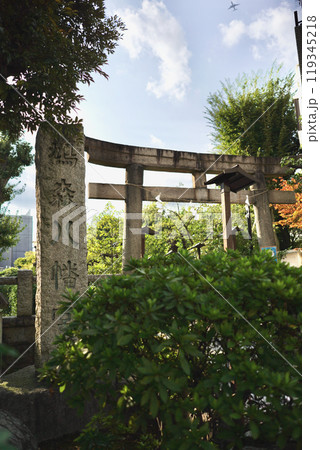 日本の東京、渋谷にある鳩森八幡神社 日本の東京、渋谷にある鳩森八幡神社 119345218