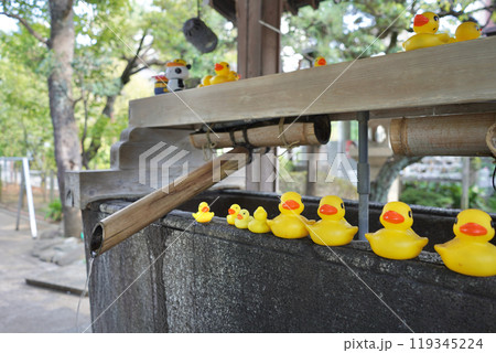 日本の東京、渋谷にある鳩森八幡神社 日本の東京、渋谷にある鳩森八幡神社 119345224