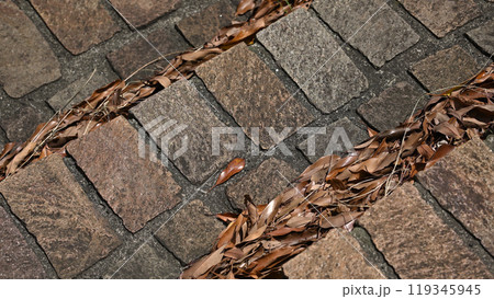 石畳みの階段 119345945