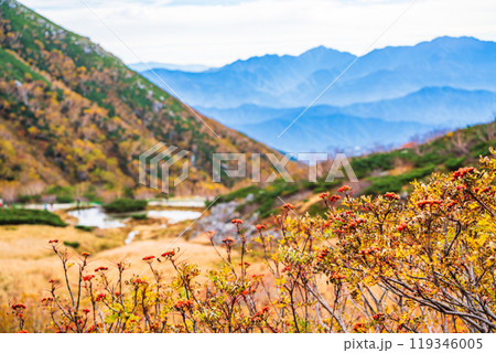 【長野県】ナナカマドの実が赤く色づいた、秋の千畳敷カール 【長野県】ナナカマドの実が赤く色づいた、秋の千畳敷カール 119346005