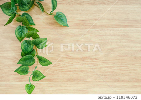 木目調のグリーンフレーム 木目調のグリーンフレーム 119346072